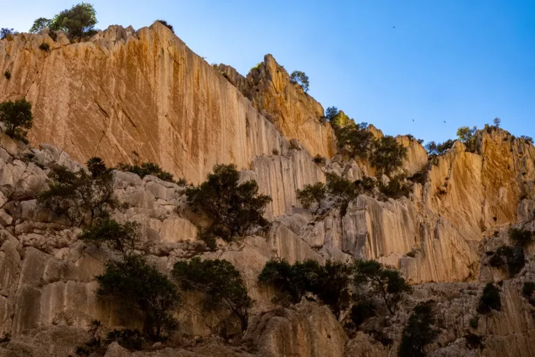 Excursion privada al Caminito del Rey 5 768x512