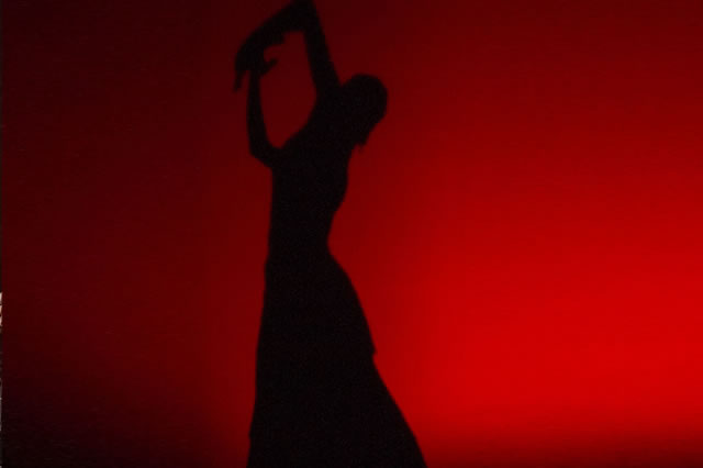Tour de tapas y flamenco por Triana 2