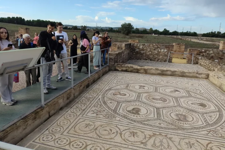 admirando mosaico romano visita guiada ciudad romana italica naturanda 1 1 11zon 768x512