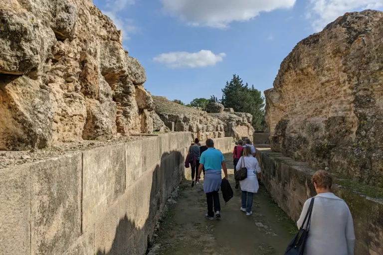 caminando entre ruinas romanas visita guiada ciudad romana italica naturanda 1 2 11zon 768x512