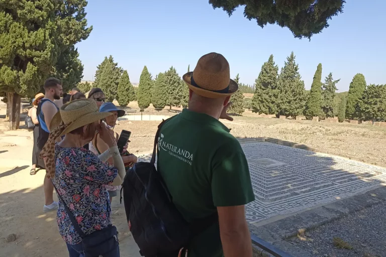 guia explicando historia mosaico romano visita guiada ciudad romana italica naturanda 1 9 11zon 768x512