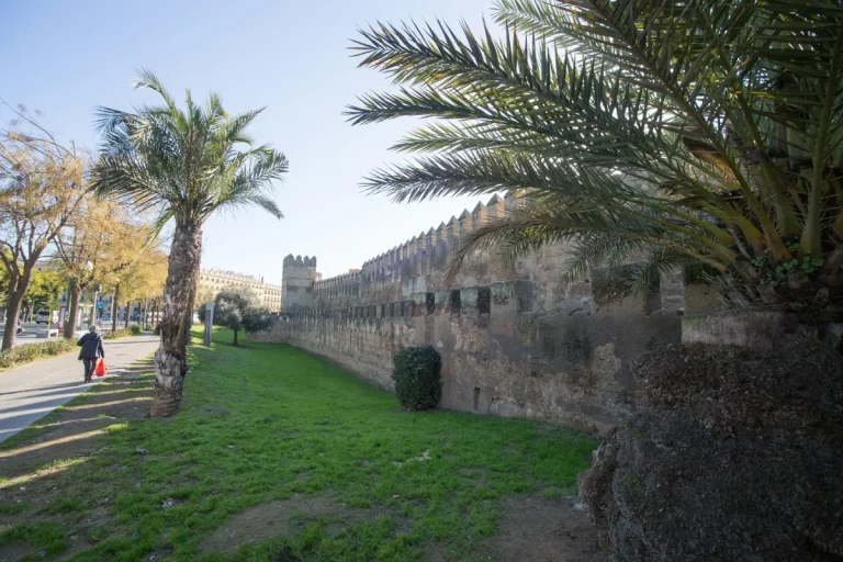 ruta cardo maximo muralla macarena 768x512