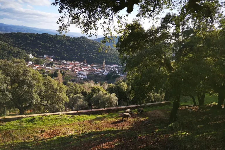 Excursion a Aracena y Riotinto desde Sevilla 4 1 768x512