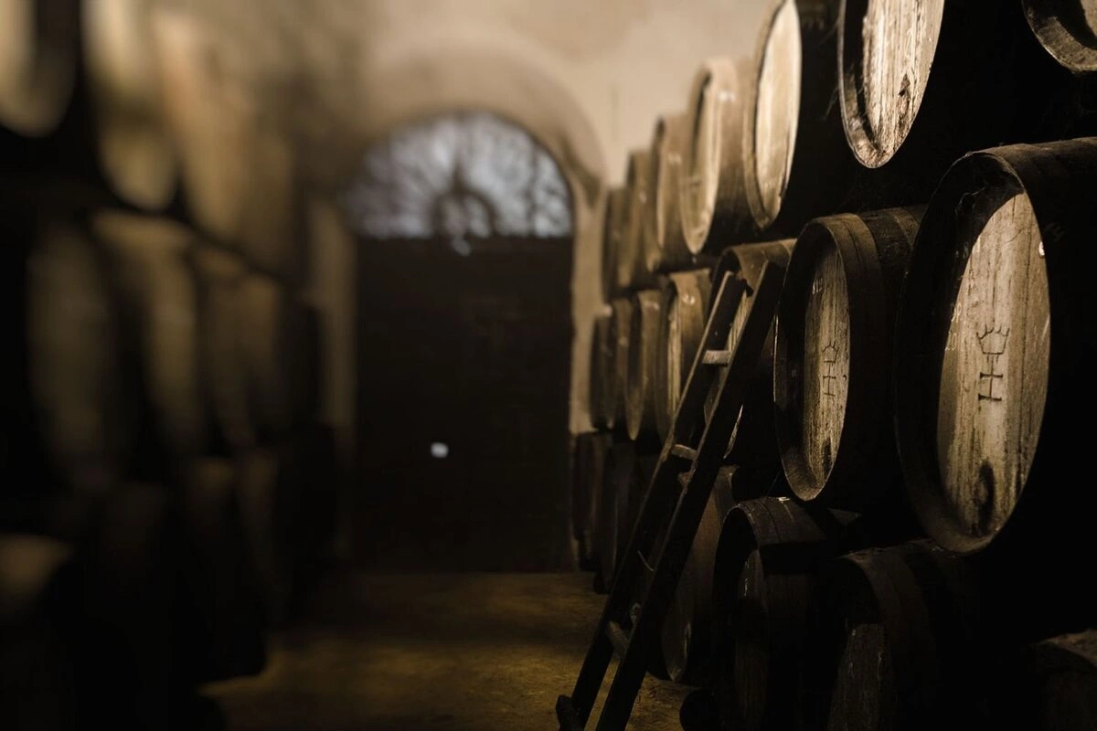 Visita a Bodegas Halcón en Lebrija