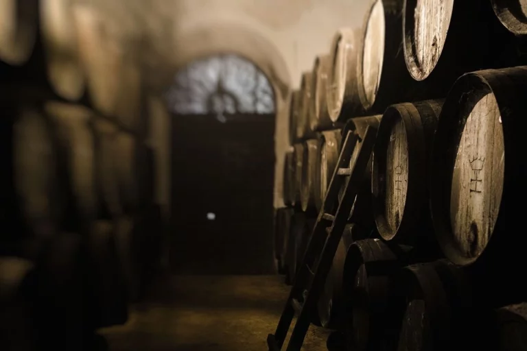 barricas vino apiladas bodegas halcon lebrija sevilla visita guiada naturanda 1 768x512