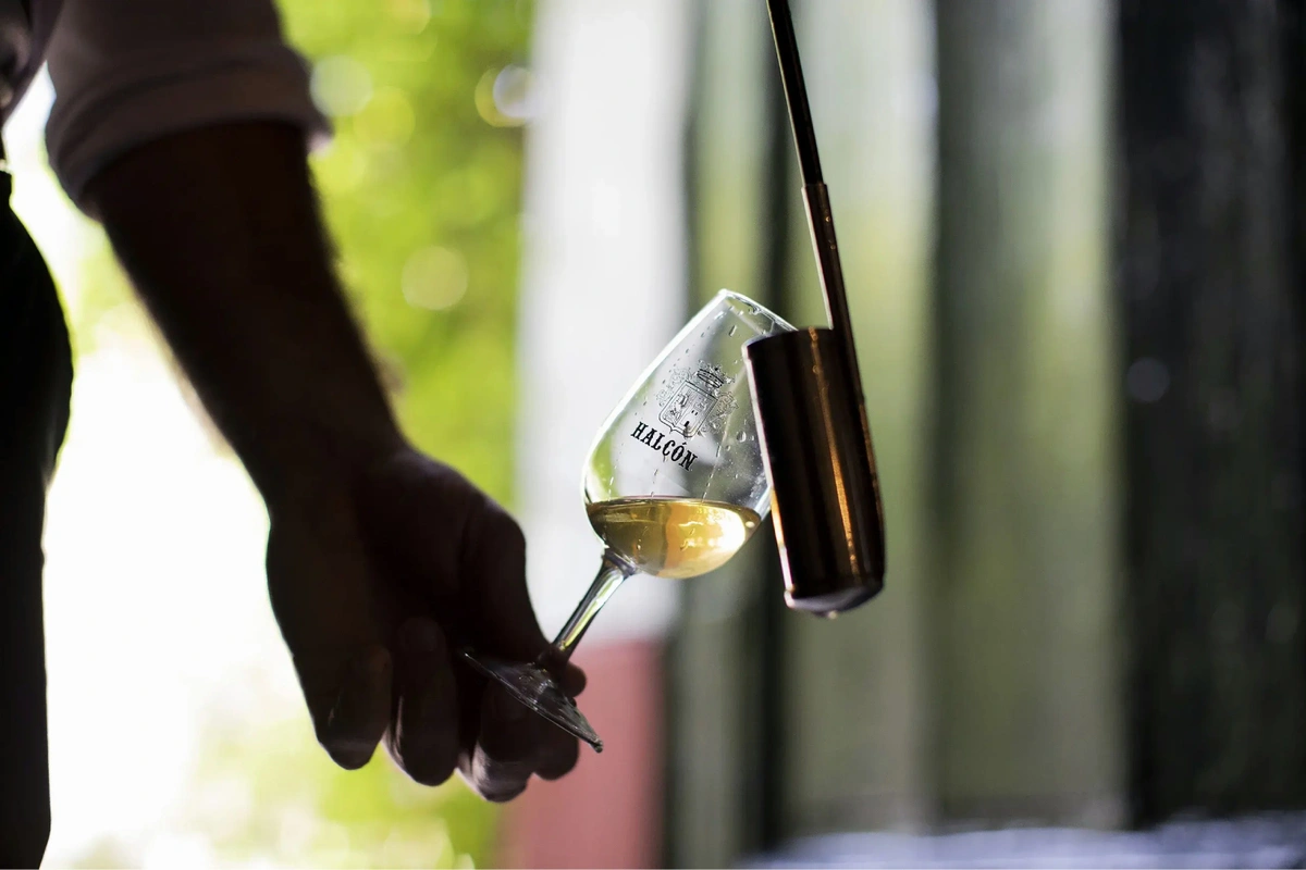 Visita a Bodegas Halcón en Lebrija cata de vino