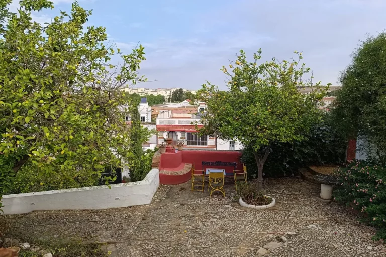patio exterior bodegas halcon lebrija sevilla visita guiada naturanda 1 768x512