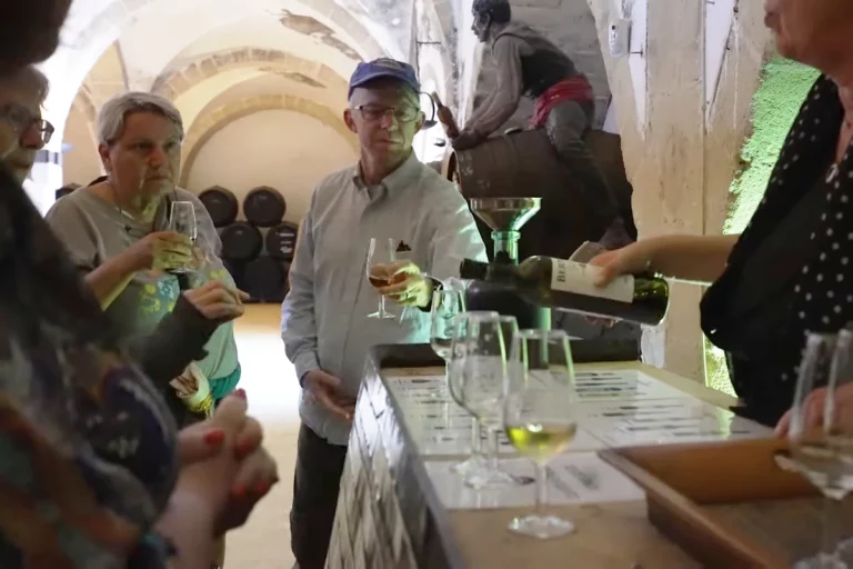 degustacion vino jerez bodega excursion guiada jerez cadiz naturanda 1 1 768x512
