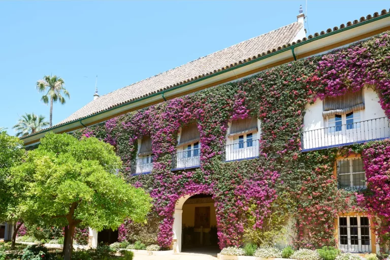 exterior florido palacio duenas visita guiada 2 1 768x512