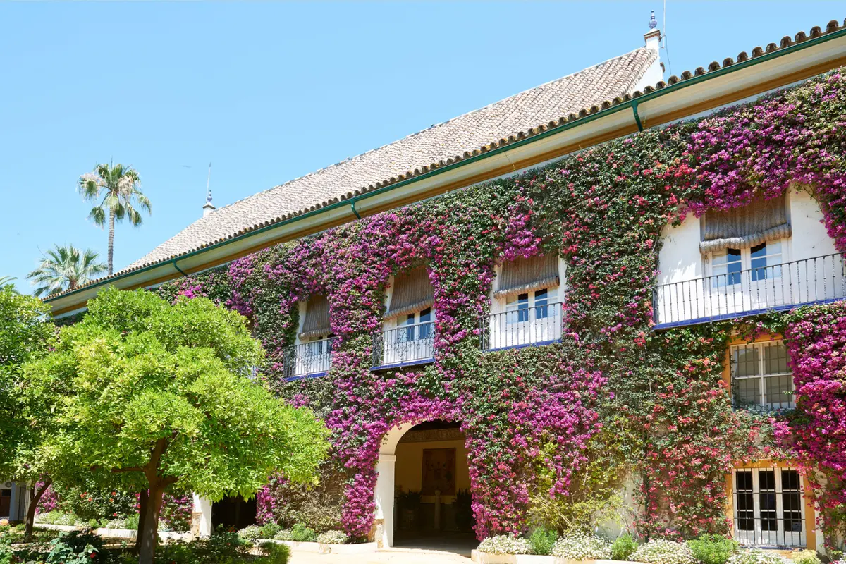 Entrada al placio de dueñas - floes jardín