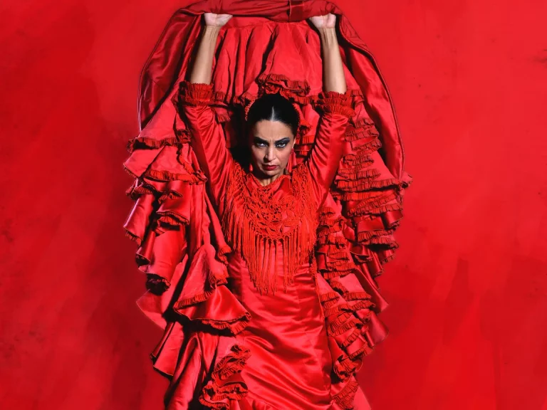 espectaculo flamenco teatro sevilla 1 1 768x576