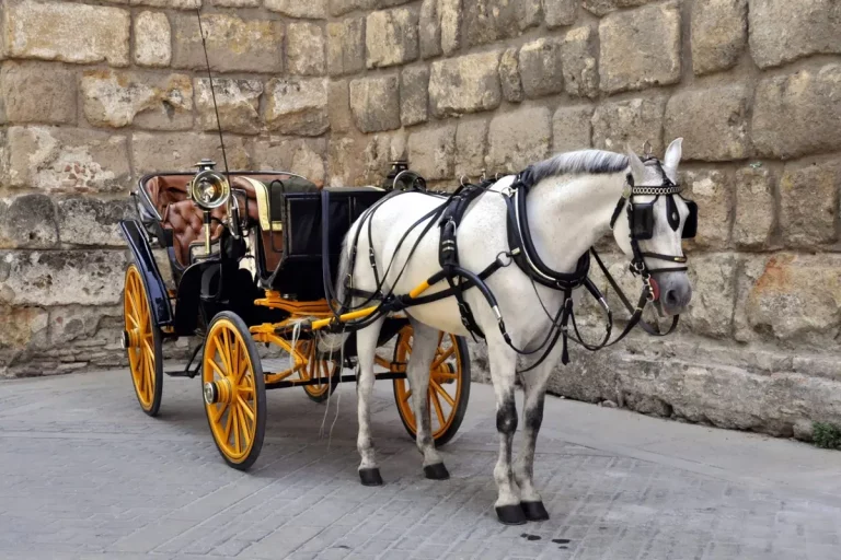 Paseo en coche de caballos por sevilla 1 768x512