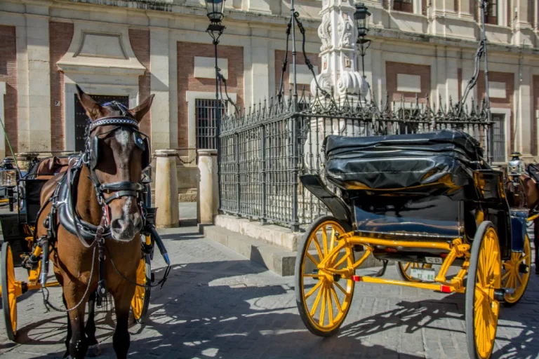 Paseo en coche de caballos por sevilla 2 768x512