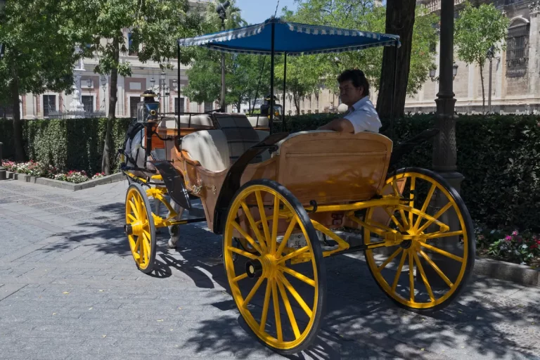Paseo en coche de caballos por sevilla 3 768x512