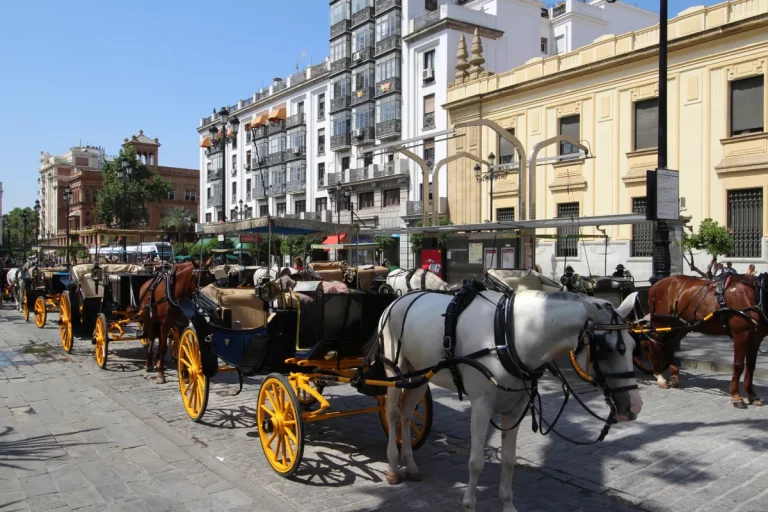 Paseo en coche de caballos por sevilla 6 768x512