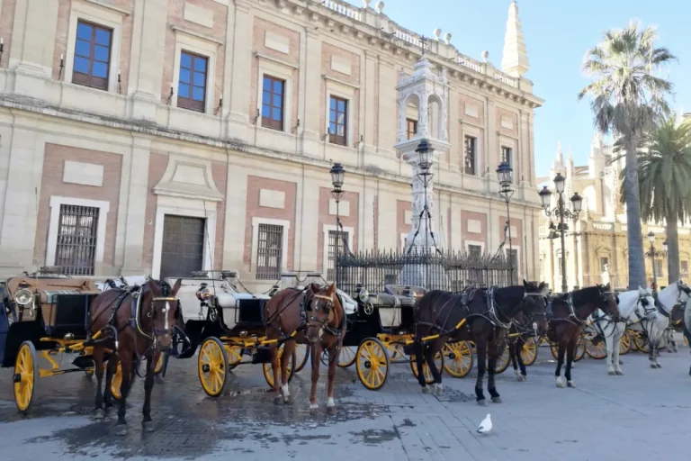 Paseo en coche de caballos por sevilla 8 768x512