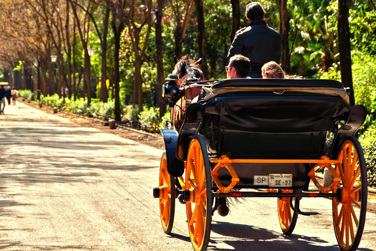 Paseo en coche de caballos por Sevilla